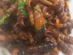 酱爆钉螺-富临港·蒸汽海鲜·手抓海鲜·炒菜(栈桥店)