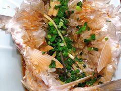 清蒸红眼鱼-宴武夷·匠心闽味(印象大红袍店)
