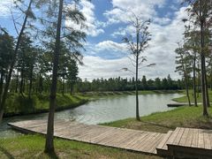 -春花秋色城市公园