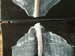 -慢丽江·云南野生菌土鸡锅(西山店)