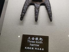 -中国农业博物馆