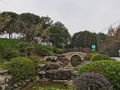 -铁山坪森林公园