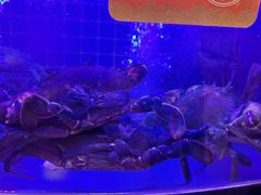 -七欣天香辣蟹火锅(闵行浦江欢乐颂店)