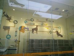 android_upload_pic-米苏动物医院·犬猫专科·骨科外科内窥镜