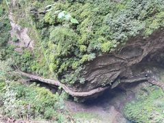 -龙水峡地缝景区