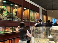 -帕帕拉兹宠物(亚洲旗舰店)