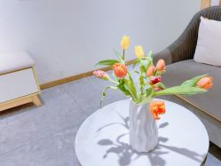 -MIDA蜜哒•科技逆龄美肤连锁