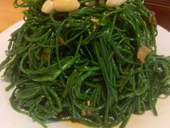 凉拌沙葱-老阿妈蒙古村·蒙古包·草原文化·歌舞表演(老君堂店)