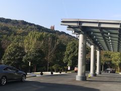 -上海佘山世茂艾美酒店