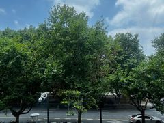 -食肆&Fourteen(武林夜市店)