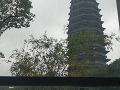 -听松楼·花园酒店·自助餐厅(红梅公园店)