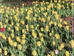 -长春公园(普阳街道)