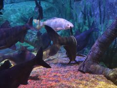 -沈阳海洋探索中心