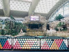 -杭州开元森泊度假乐园