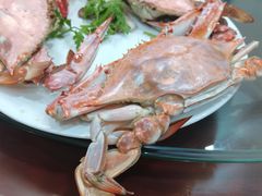 -望海潮海鲜店 特色家常菜(在海一方店)