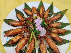 -喜碧海鲜·十三年本土海鲜老字号(上排店)