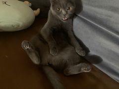 -惠宾楼老菜馆