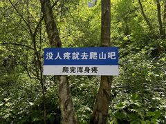 -鹿院坪生态旅游景区