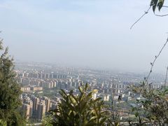 -杭州半山国家森林公园