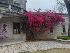 -赤坎·广东华侨国际旅游度假区