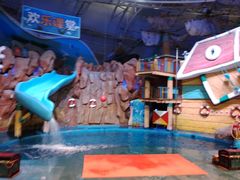 -烟台海昌鲸鲨海洋公园