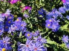 -永定河休闲森林公园