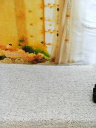 -星豆豆儿童摄影(南郊太白南路店)