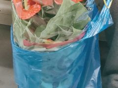 -双季花艺园艺市场(浦东店)
