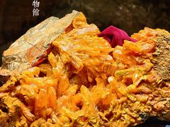 -国家自然博物馆