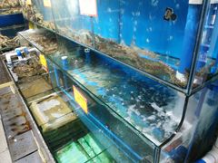 水产区-蚝专家(北滘店)