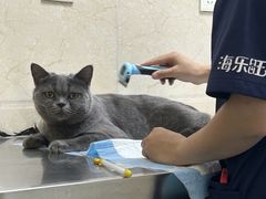 -仁华宠物医院(青羊店)