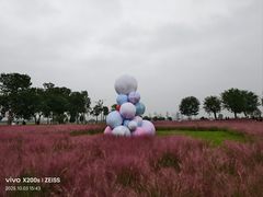 -汉长安城未央宫国家考古遗址公园