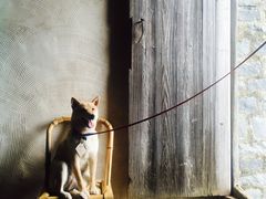 -石头会唱歌融来+北港岚台两岸交流中心