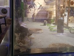 -zoonana室内动物园(东方福来德店)