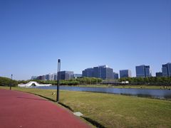-春花秋色城市公园