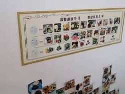 -塑吧减肥养生连锁