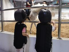 -李振强马术运动推广中心(南城店)