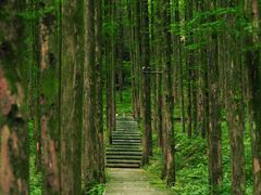 -山王坪喀斯特国家生态公园