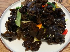 青冈木耳-锦城印象火锅(天府三街店)