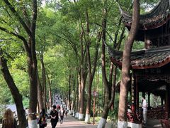 -忠山公园