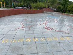 -铁山坪森林公园