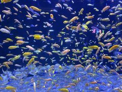 -成都浩海立方海洋公园