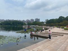-新江湾城公园