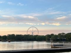 -石家庄市植物园