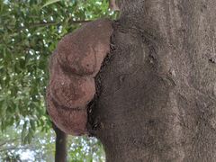 -白鹭湾湿地公园