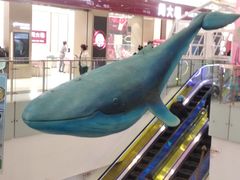 -凯德广场(学府店)