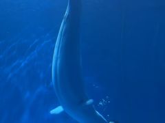 -多彩贵州城极地海洋世界