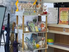 -爱妮康宠物医院·干细胞免疫细胞·肿瘤·心脏(张江店)