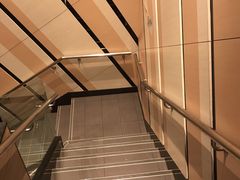 -BLACKSWAN黑天鹅(环球店)
