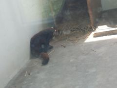 -宿豫区运河湾森林动物园